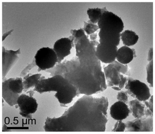 An encapsulation bi  <sub>2</sub> the s  <sub>3</sub> Nanoparticle alginate microspheres and preparation method thereof