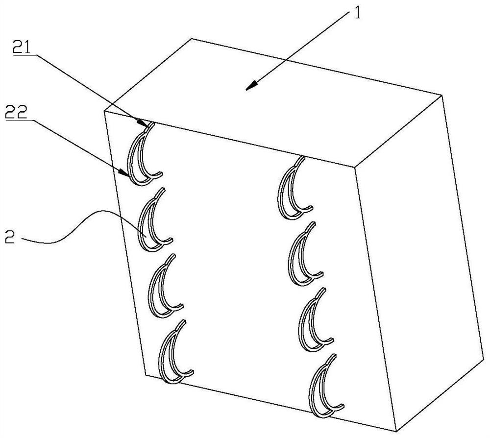 Underwater fixing structure and fixing method for net bodies