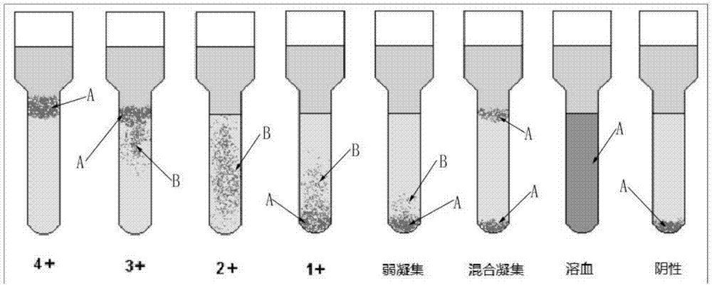 Method for identifying agglutination detection result of micro-column gel card