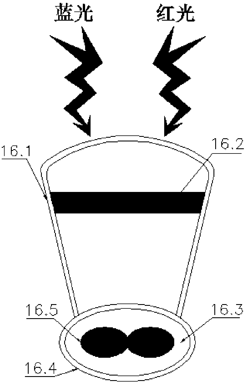 Carbon and oxygen separation method and special device for carbon dioxide