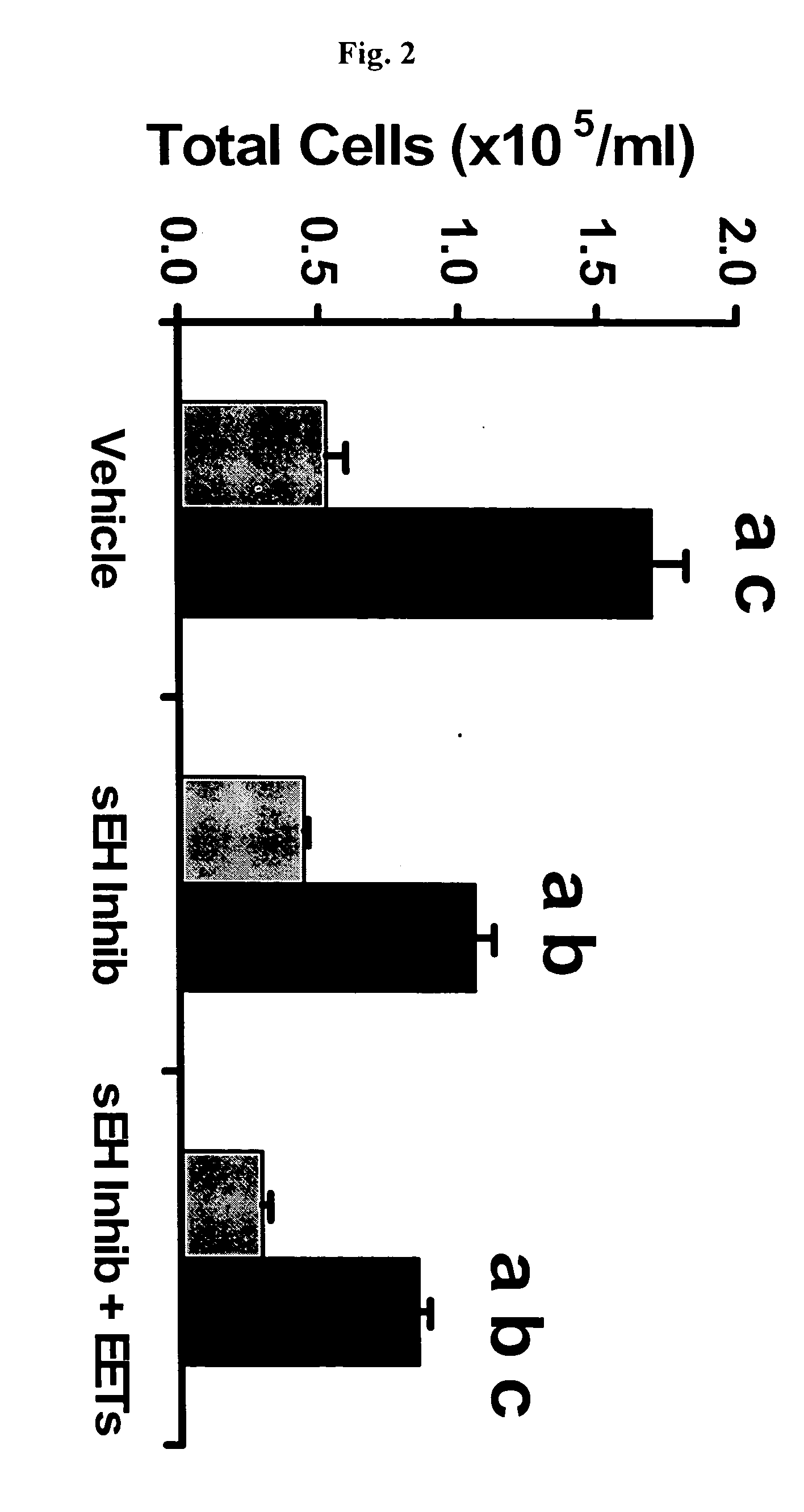 Use of cis-Epoxyeicosantrienoic acids and inhibitors of soluble epoxide hydrolase to reduce pulmonary infiltration by neutrophils
