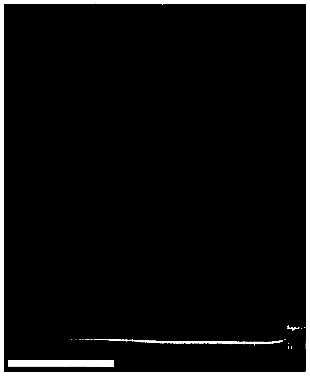 Method for quickly identifying micro-area calcite and dolomite by using laser Raman spectrum