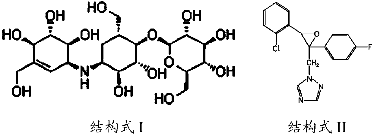Jinggangmycin and epoxiconazole compound pesticide suspension and preparation method thereof