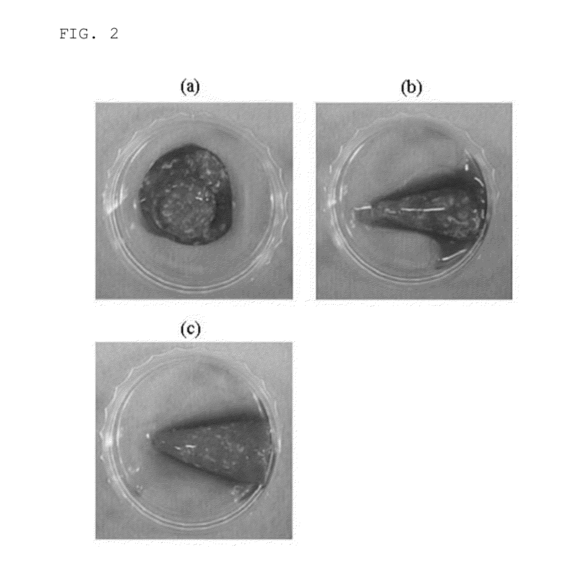 Composition for inducing tissue regeneration by activating platelet-rich plasma (PRP), and method for manufacturing same