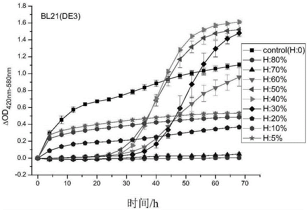 Natural honey wound dressing and preparing method and application thereof