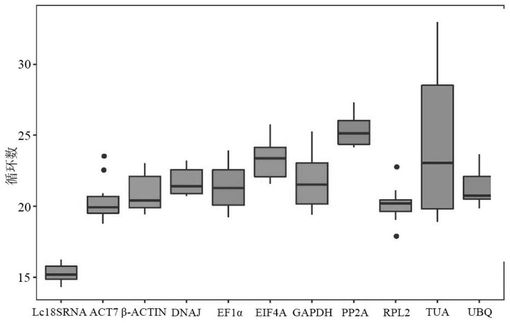 Internal reference gene of loofah and its primer and application