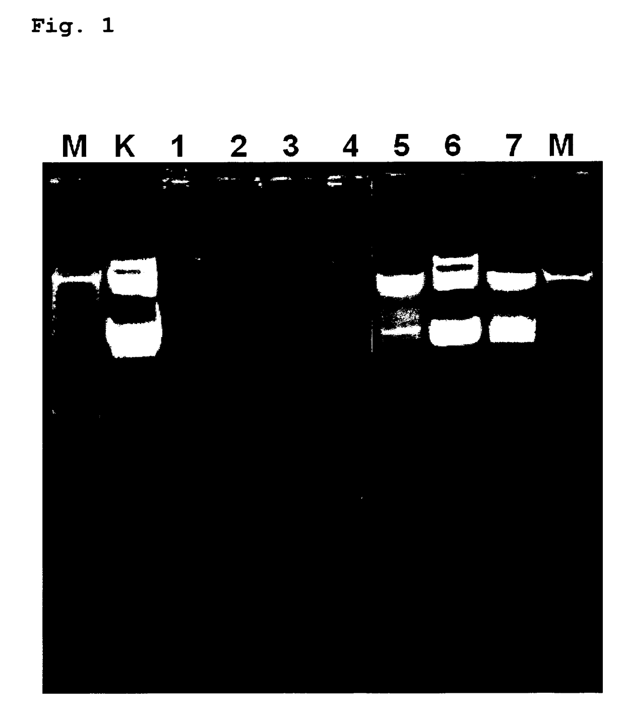 Bioactive, ruthenium-containing coating and device