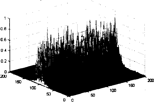 Method of mfg. achromatic color changed silver diffraction images