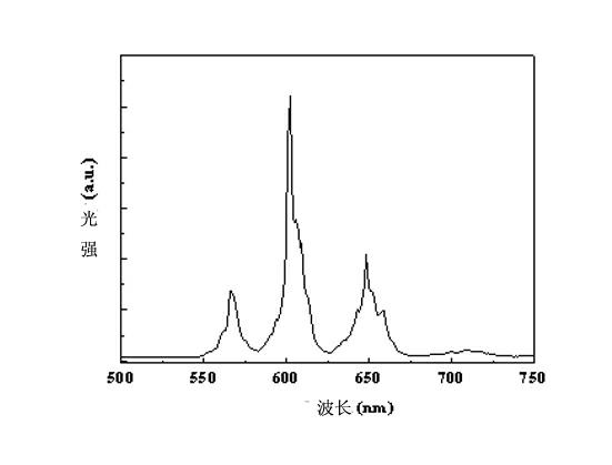 Orange red fluorescent powder for LED (Light Emitting Diode) and preparation method thereof