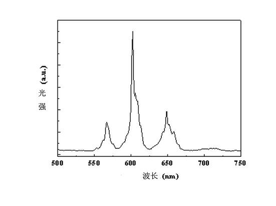 Orange red fluorescent powder for LED (Light Emitting Diode) and preparation method thereof