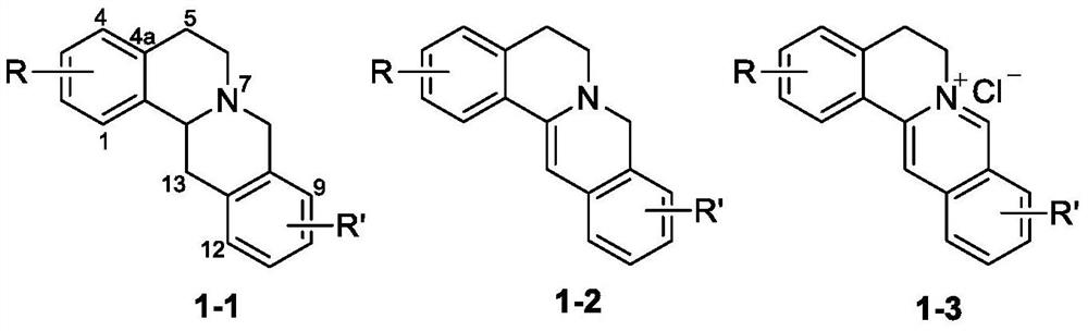 Berberine derivatives, their preparation method, pharmaceutical composition and anti-tumor application