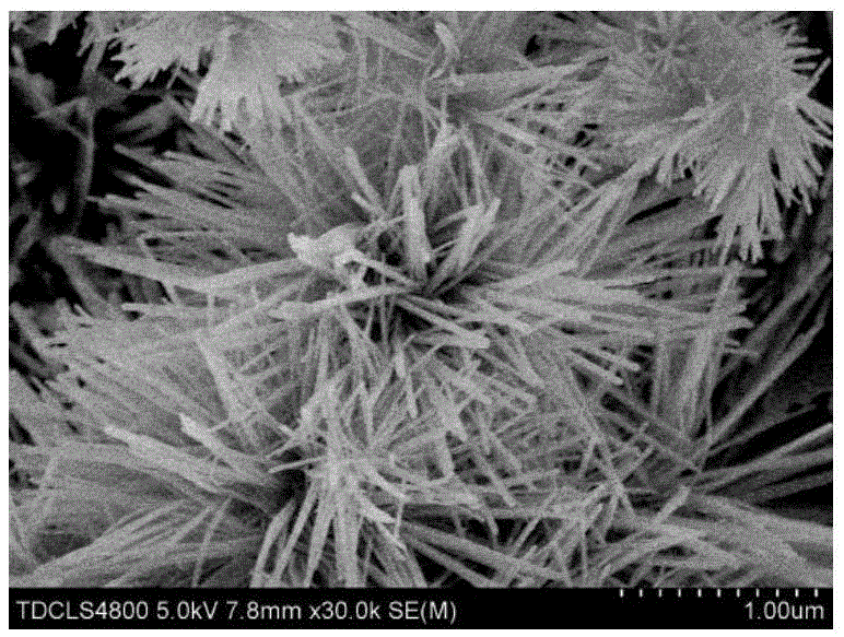 Two-layer crystal whisker-shaped fluorine-doped hydroxyapatite coating on magnesium alloy and microwave preparation method thereof
