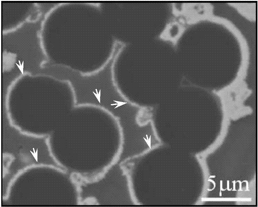 Method for preparing zirconium carbide ceramic boundary phase on surface of carbon fiber