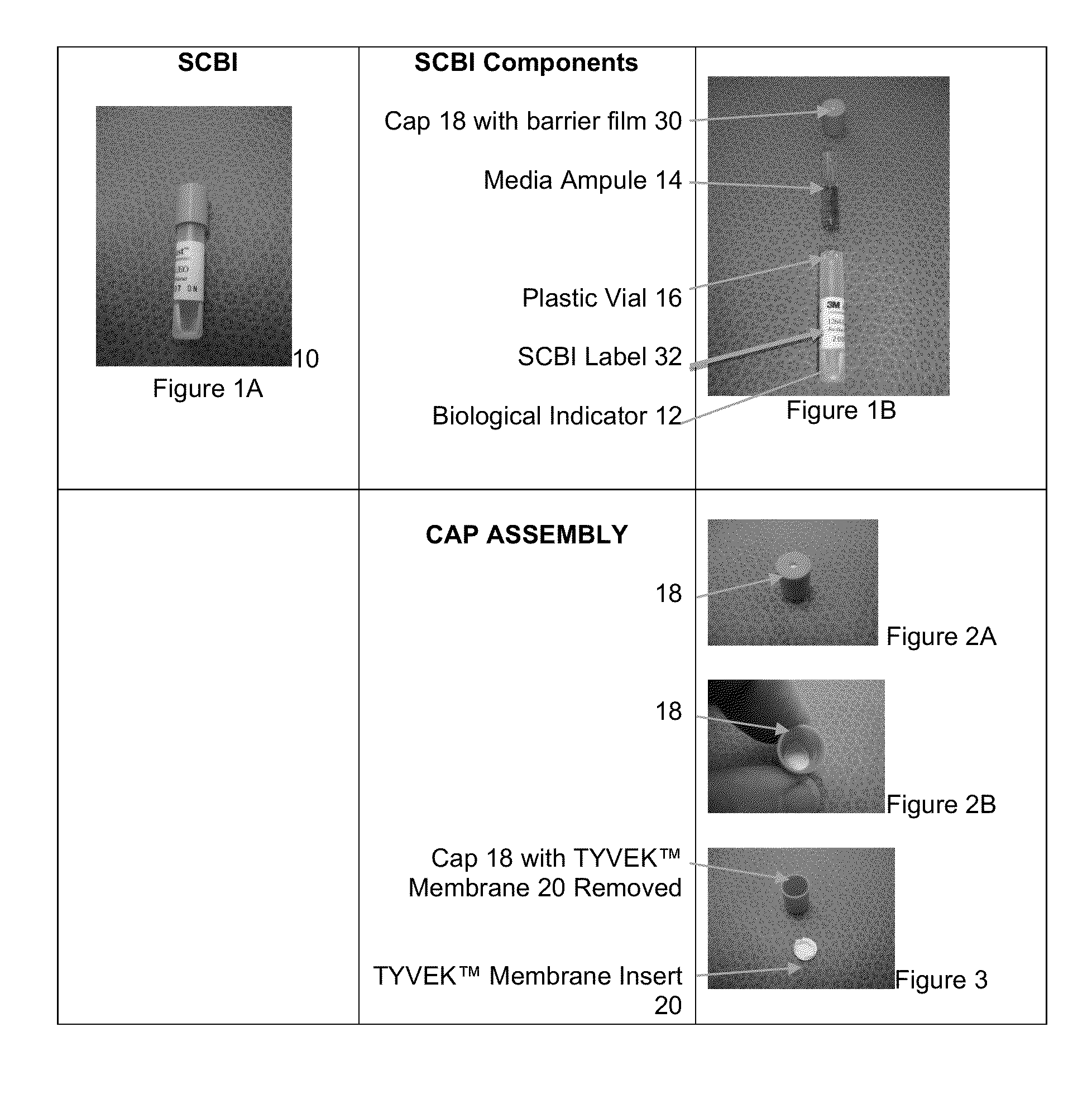 Apparatus and Method for Process Challenge Devices