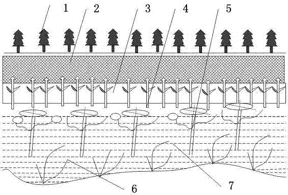 River ecological reactor system and construction method thereof