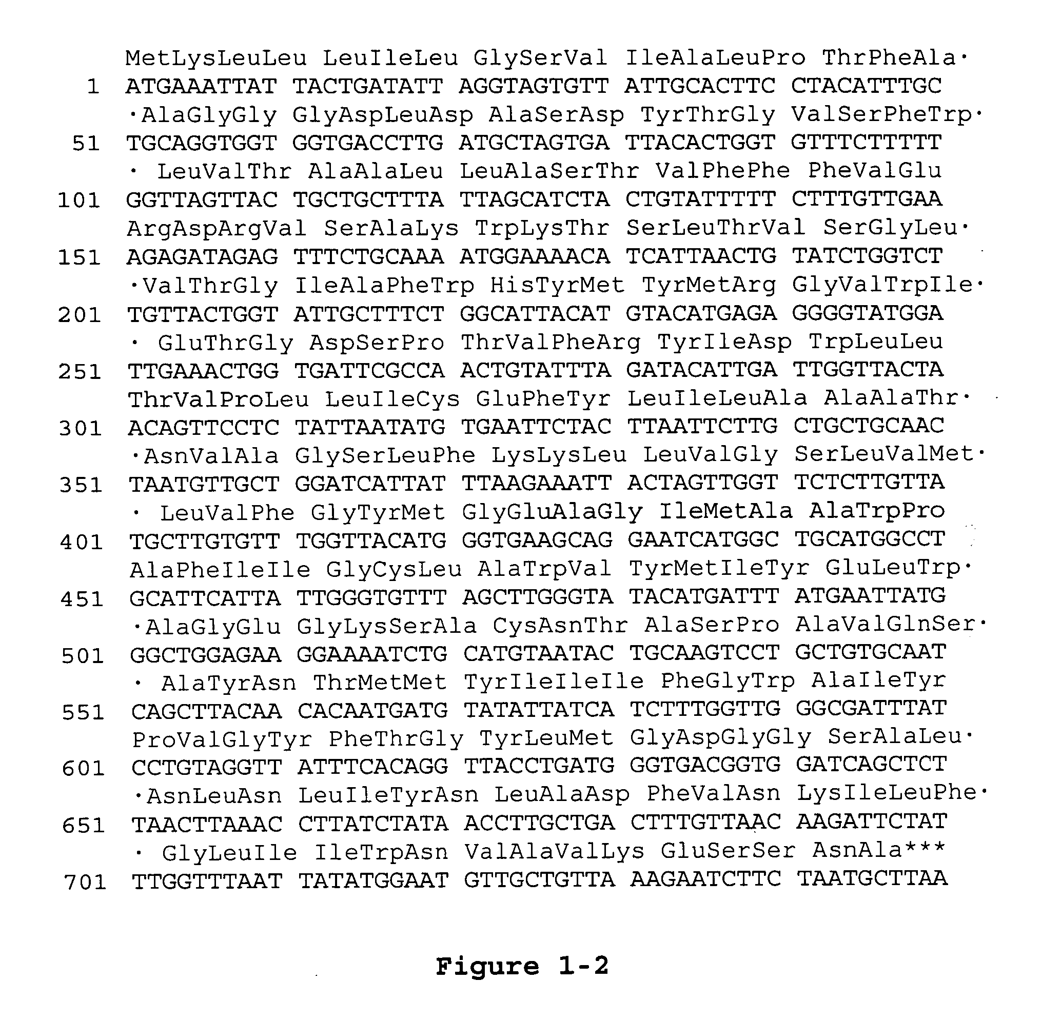 Proteorhodopsin mutants with improved optical characteristics