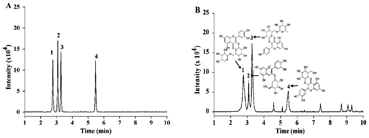 Method for simultaneously preparing polyphenols and polysaccharides from black currants