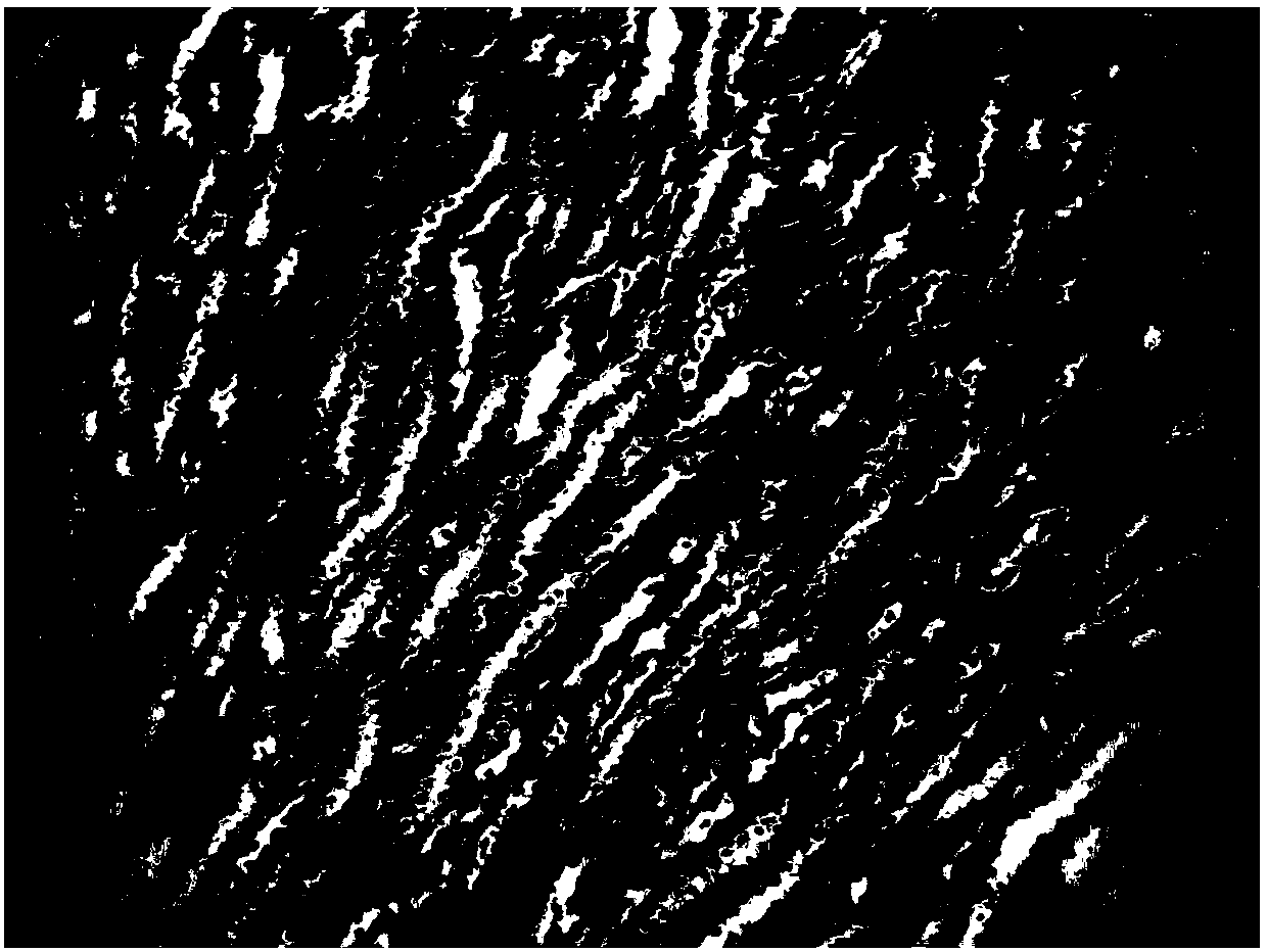 Traditional Chinese medicinal composition for preventing and treating urinary system diseases, and preparation method thereof