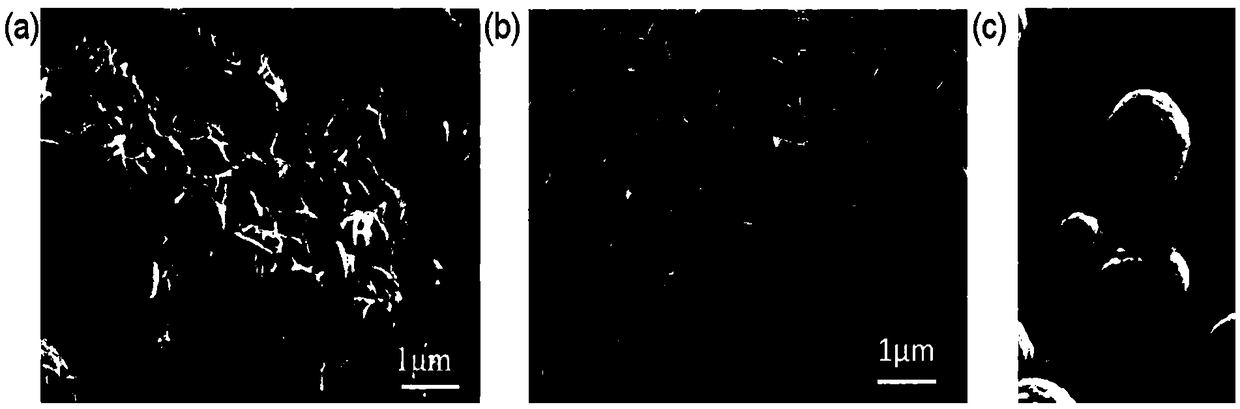 Preparation method of iron phosphide nanosheet and biomass carbon composite material and application