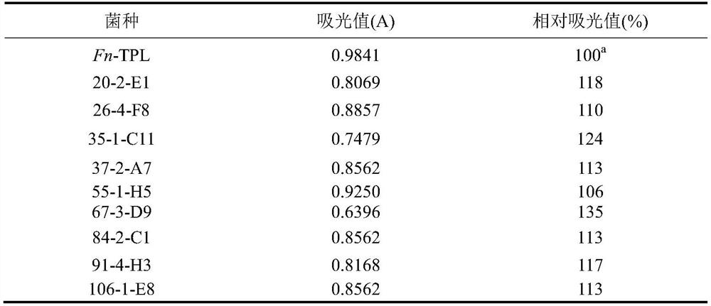 Tyrosine phenol lyase mutant, engineering bacterium and application of tyrosine phenol lyase mutant in catalytic synthesis of levodobar