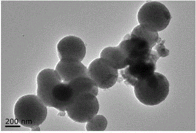 Preparation method for anatase titanium dioxide nanocrystalline mesoporous microsphere