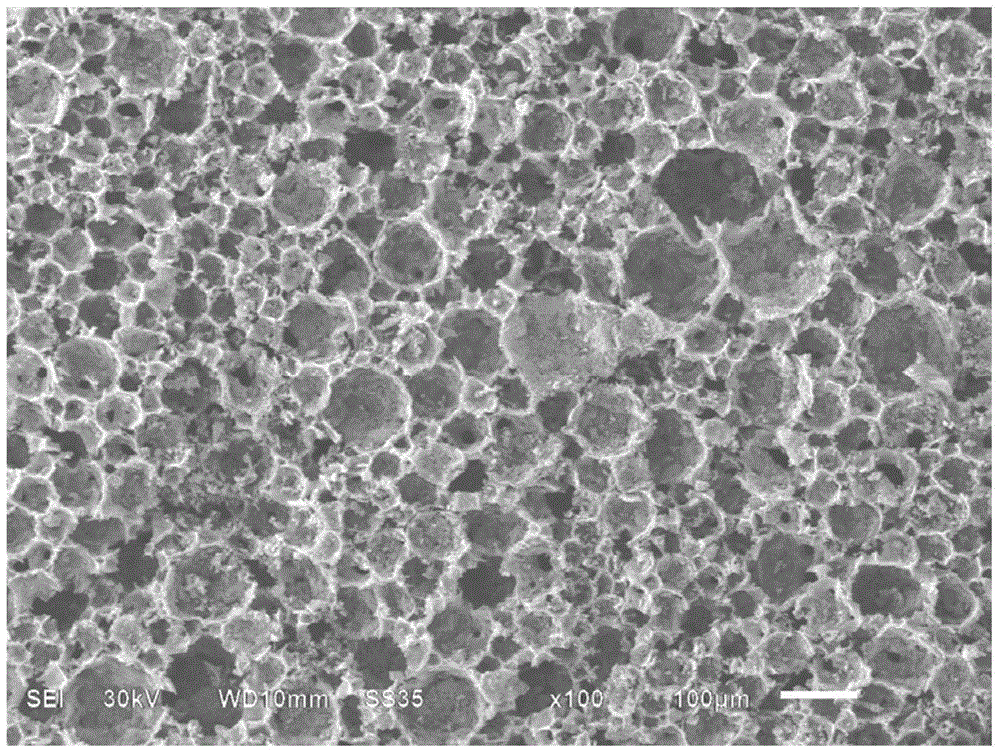 Metal nanoparticle-foamy carbon catalyst, and preparation method and application thereof