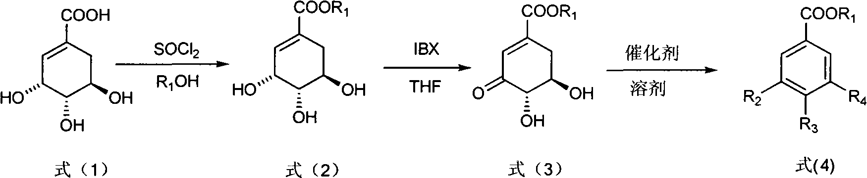 Method for preparing epicatechol gallate and protocatechuic acid ester compounds from natural shikimic acid