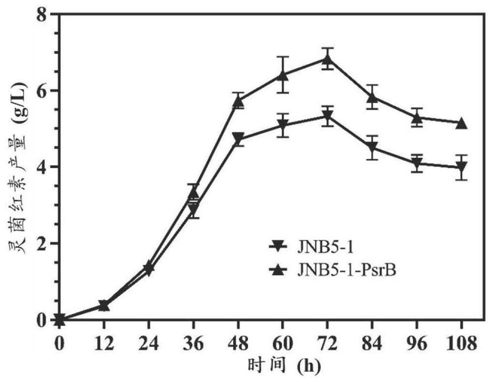 Method for improving serratia marcescens to synthesize prodigiosin through overexpression gene psrB