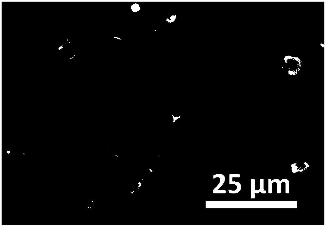 Method for preparing Janus particles based on lysozyme nano-film