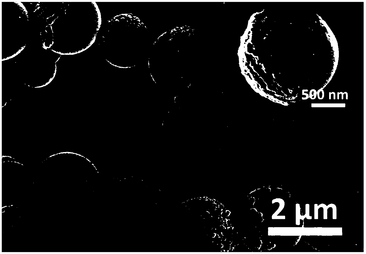 Method for preparing Janus particles based on lysozyme nano-film