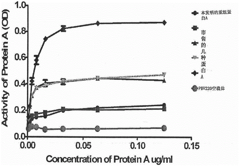 Preparation of recombinant protein a gene and its expression product