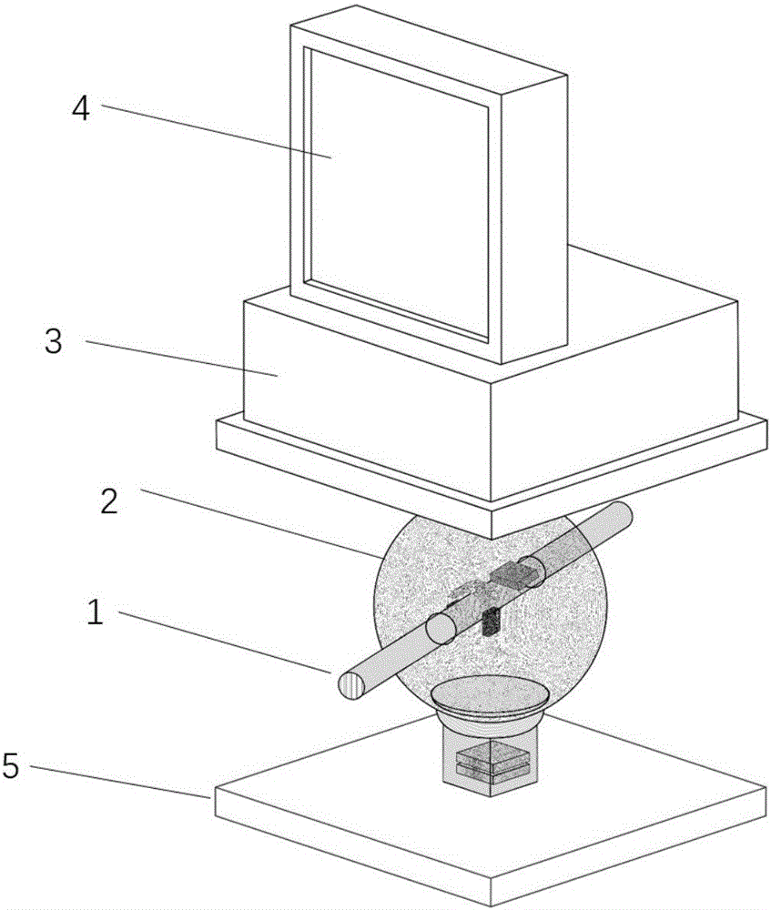 Three-dimensional virtual interaction system