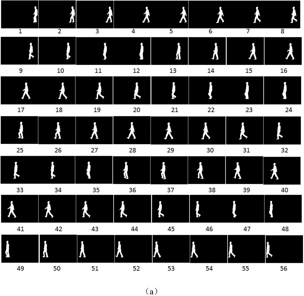 Human body tracking method based on self-adaptive kernel function and mean value shifting