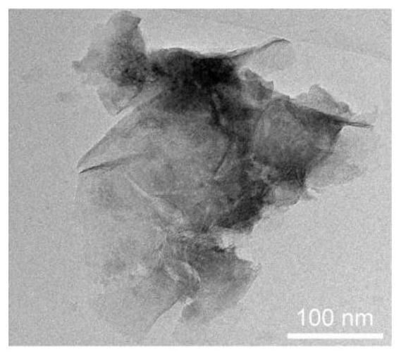 Optimized electron configuration co for efficient oxygen evolution reaction  <sub>4</sub> Preparation method of n nanosheets