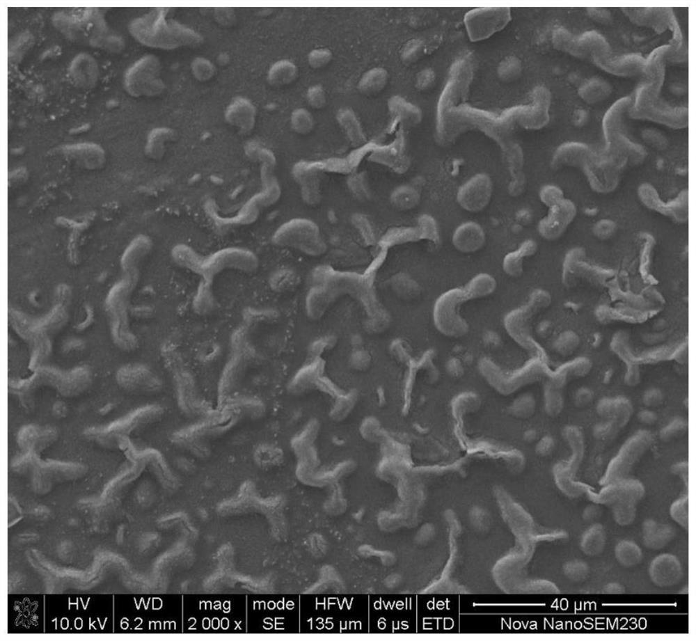 Ionic liquid doped water-soluble polythiophene composite film as well as preparation method and application thereof