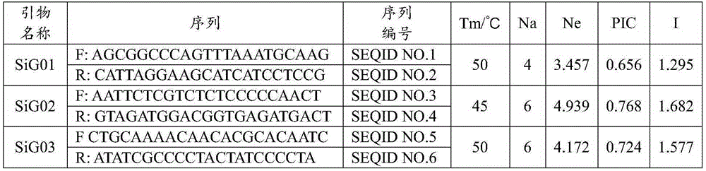SSR molecular marker method for identifying foxtail millet variety and application