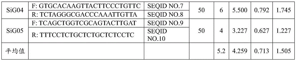 SSR molecular marker method for identifying foxtail millet variety and application