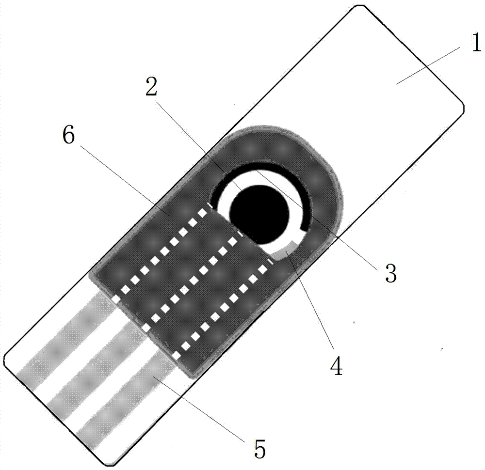 Electrochemical heavy metal detector constructed based on graphene test paper electrode and detection method thereof
