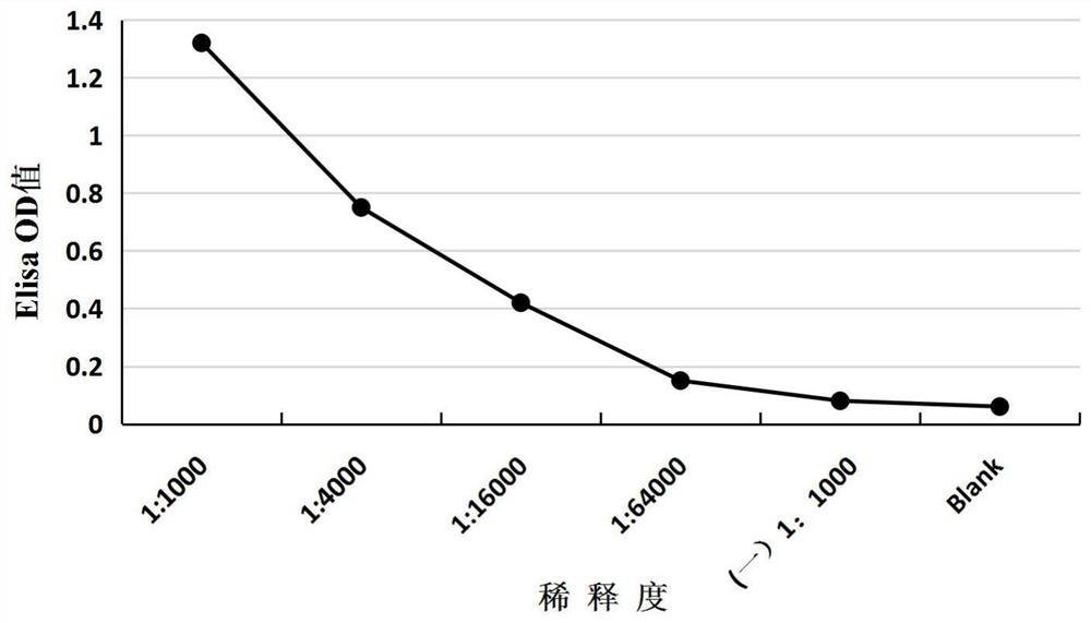 Peptide segment 502-518 of the highly conserved region of hcv envelope protein and its use