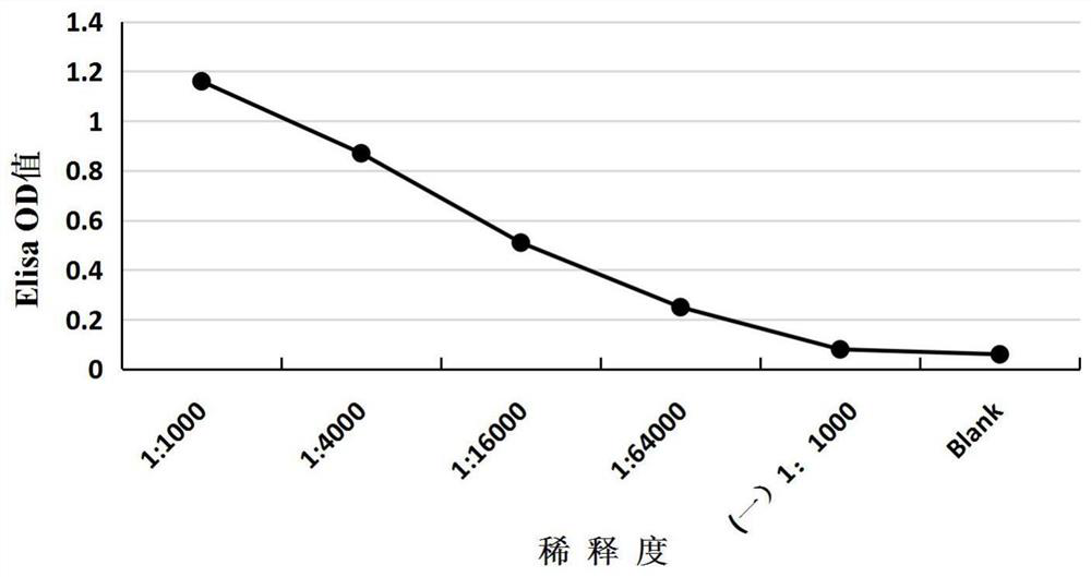 Peptide segment 502-518 of the highly conserved region of hcv envelope protein and its use