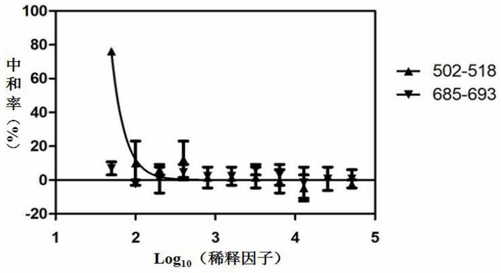 Peptide segment 502-518 of the highly conserved region of hcv envelope protein and its use