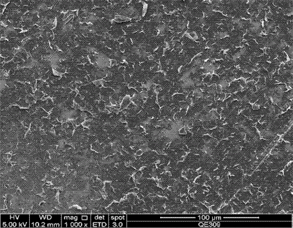 Current collector and preparation method thereof