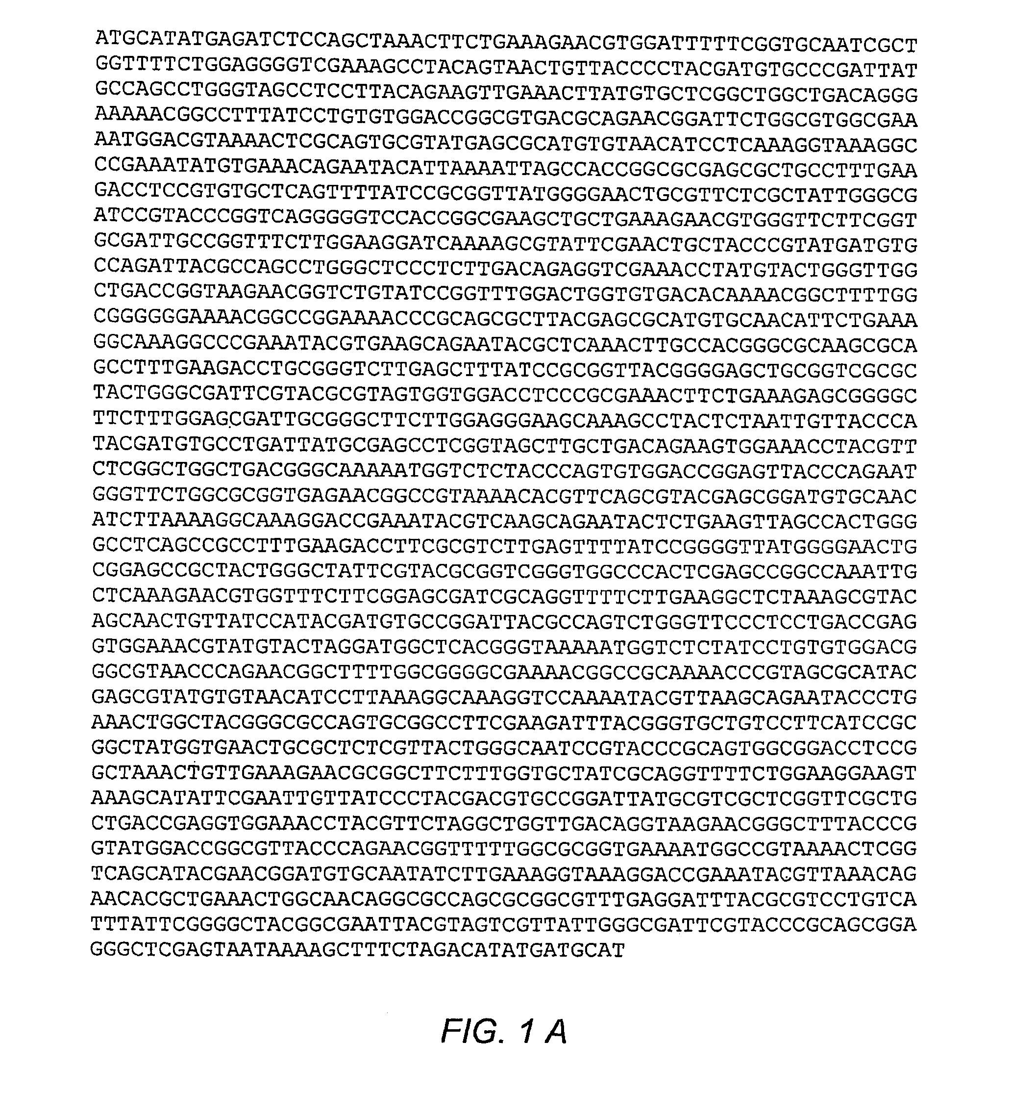 Multimeric multiepitope influenza vaccines