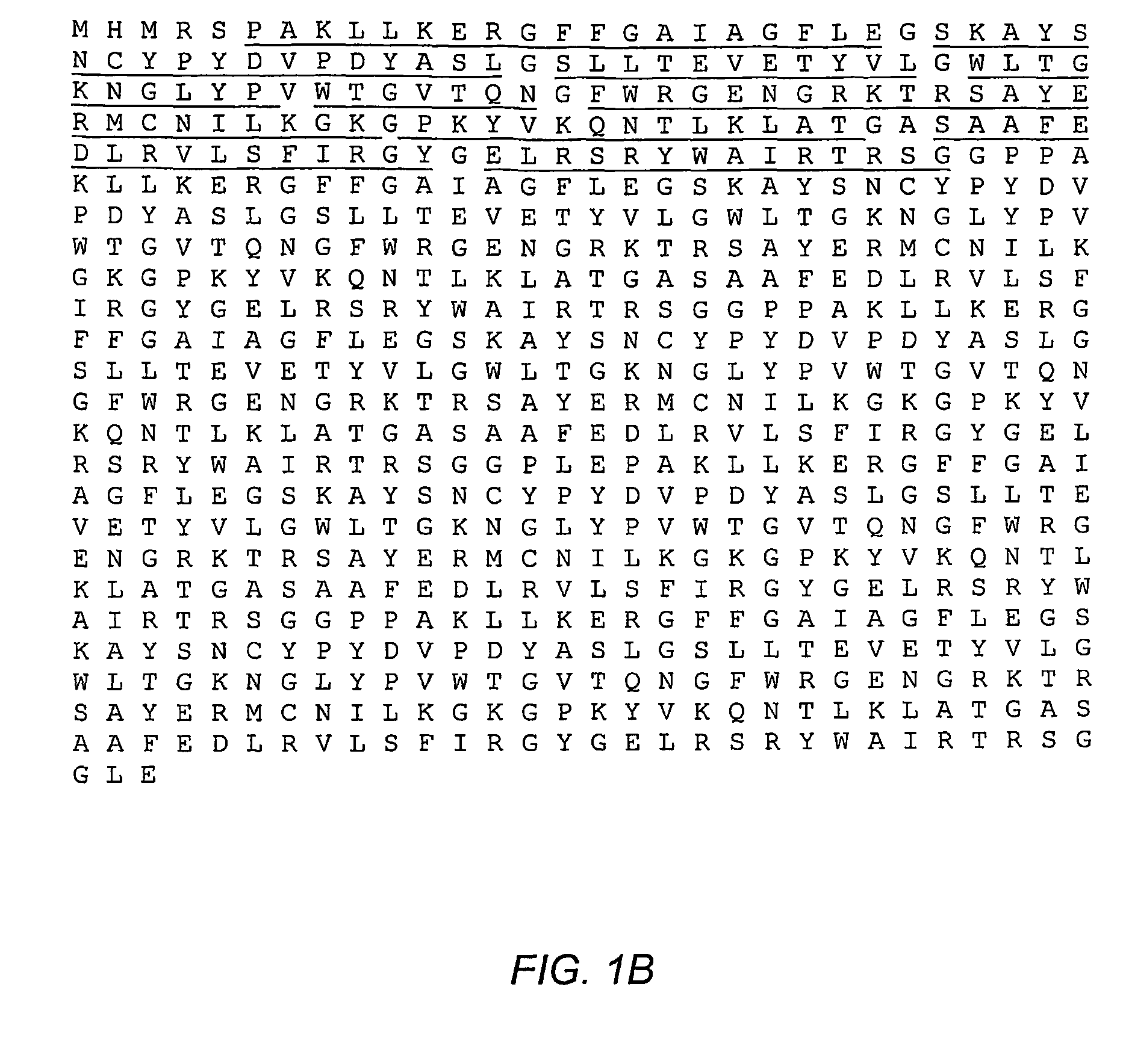 Multimeric multiepitope influenza vaccines