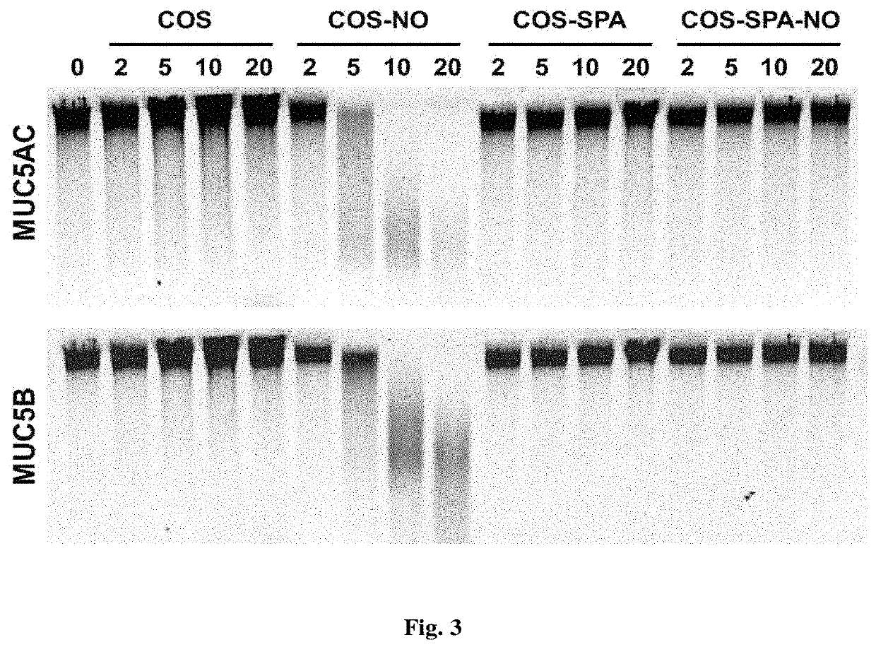 Compounds, compositions and methods for inhibiting a pathogen and/or modifying mucus