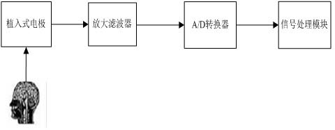 Intraoperative motion area function locating system based on electroencephalogram slow cortex potential wavelet analysis