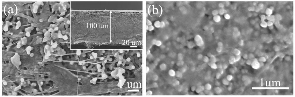 Flexible metal organic framework-based plastic crystal electrolyte as well as preparation method and application thereof