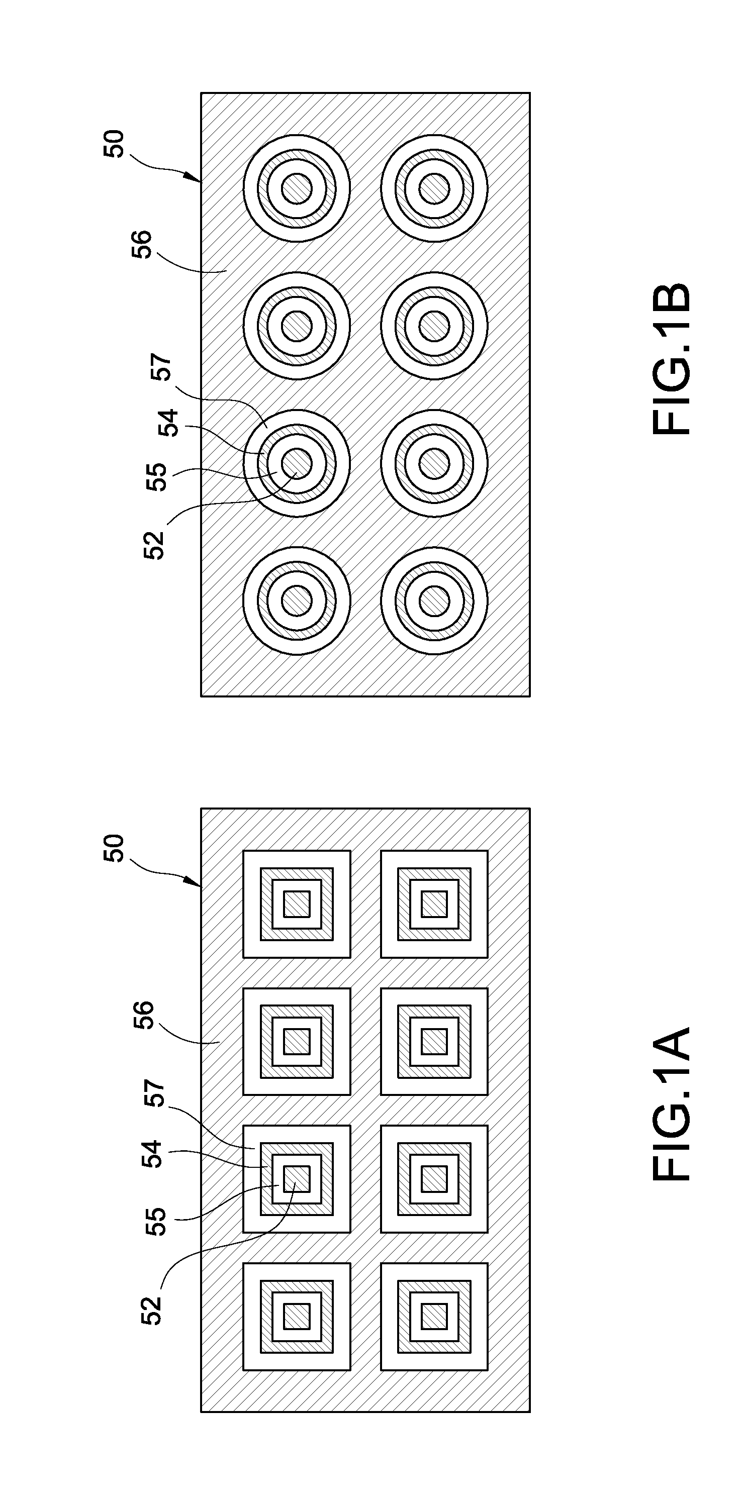 Biometric recognition apparatus with deflection electrode