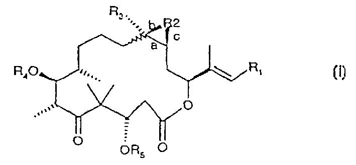 Epothilones derivatives, their synthesis and uses