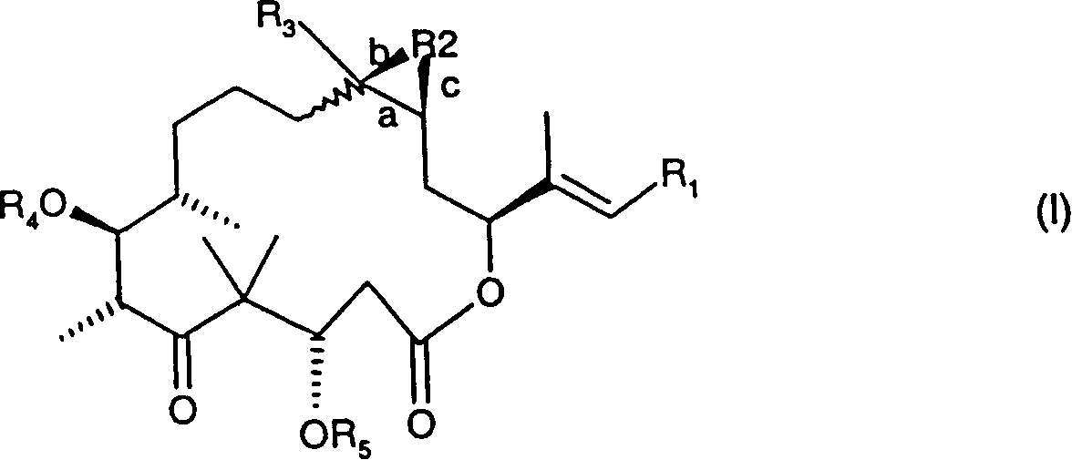 Epothilones derivatives, their synthesis and uses